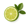 Bergamota