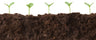 Notas terrosas
