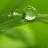 Acorde verde