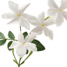 Hedione