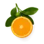 Mandarina