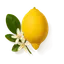 Bergamota de Calabria