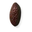 Haba tonka