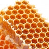 Cera de abeja